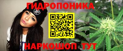 молекула духа Лесосибирск