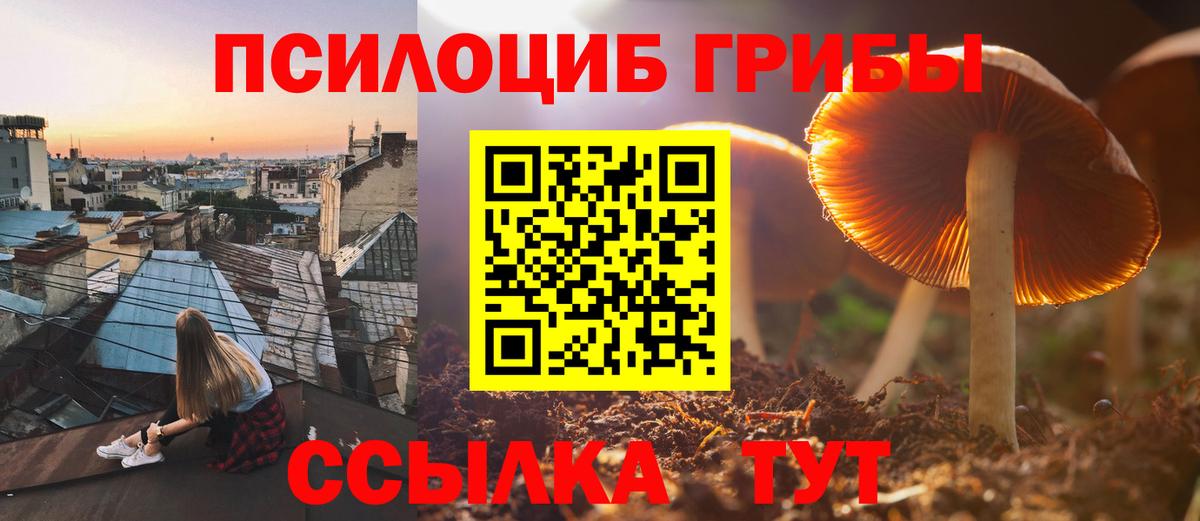 Киров  Псилоцибиновые грибы мухоморы  наркошоп  Вход с VPN 