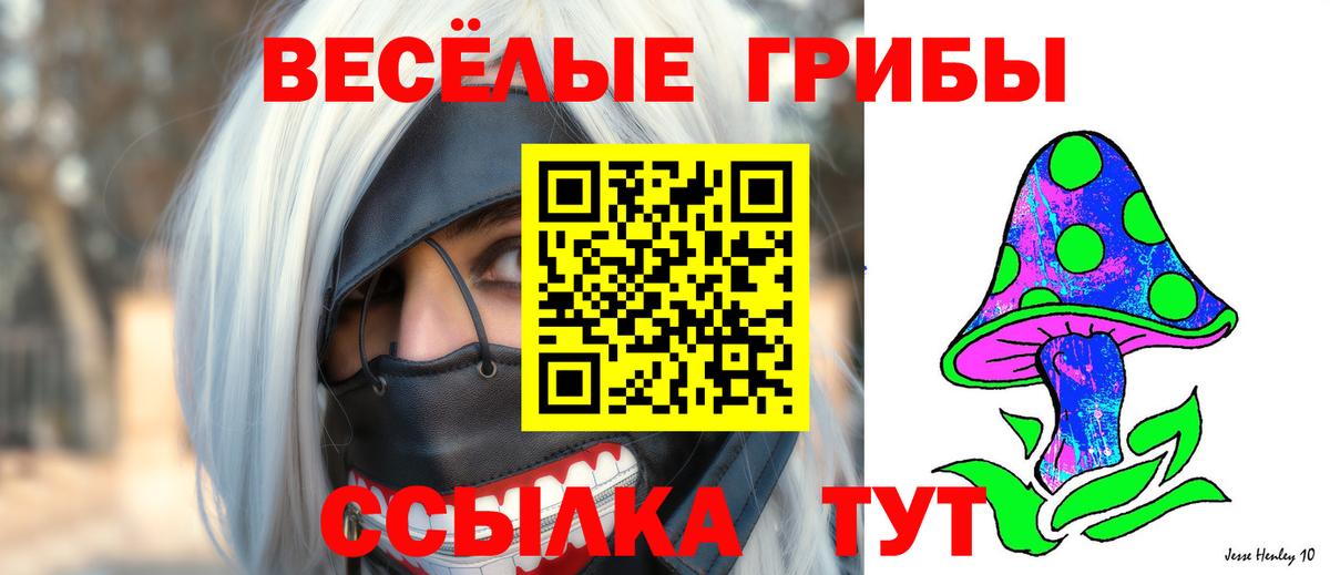 Галлюциногенные грибы Cubensis Киров